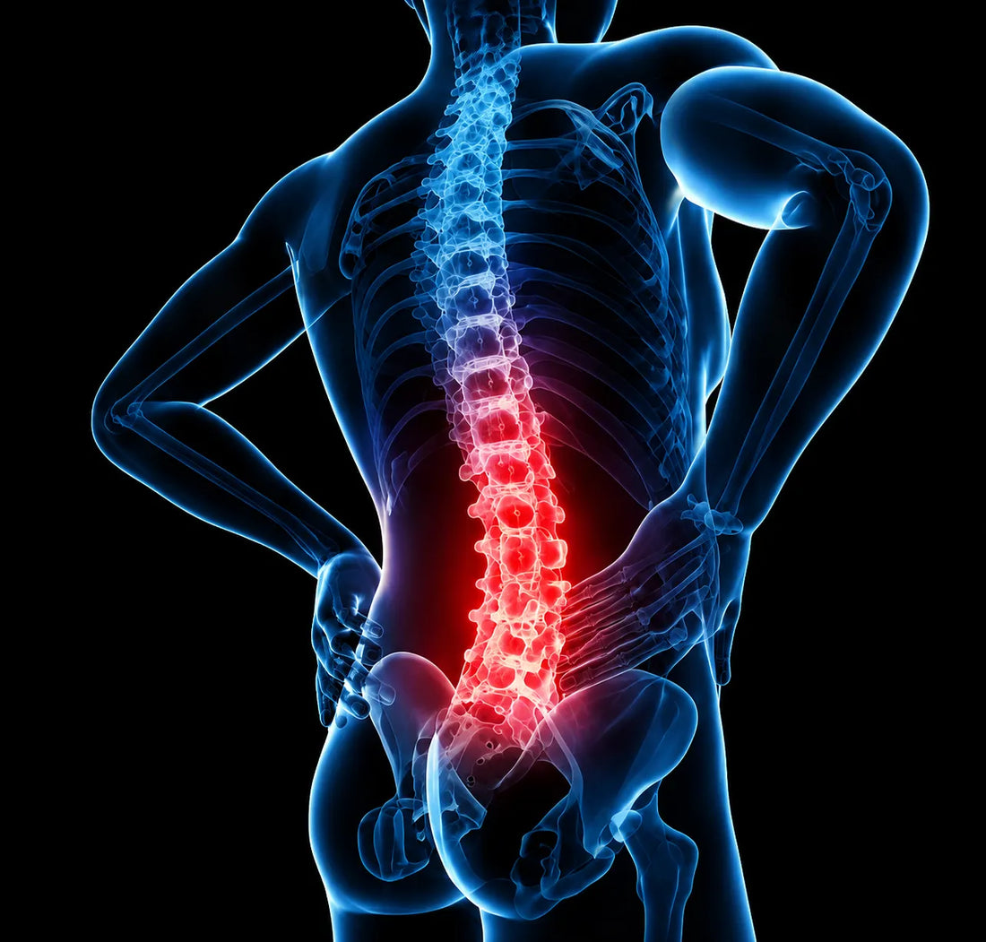 Lumbar support illustration